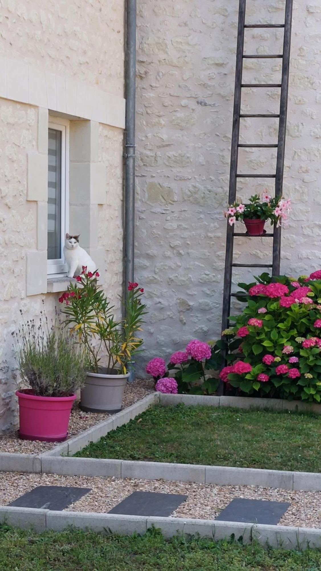 Gite Amanala Poitou Saint-Genest-d'Ambiere Екстер'єр фото